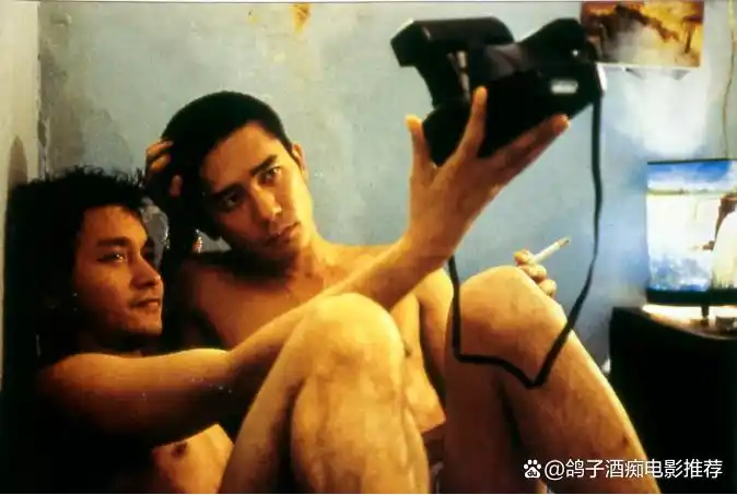 电影色彩运用分析_导演色彩技巧研究_好片推荐,颜色